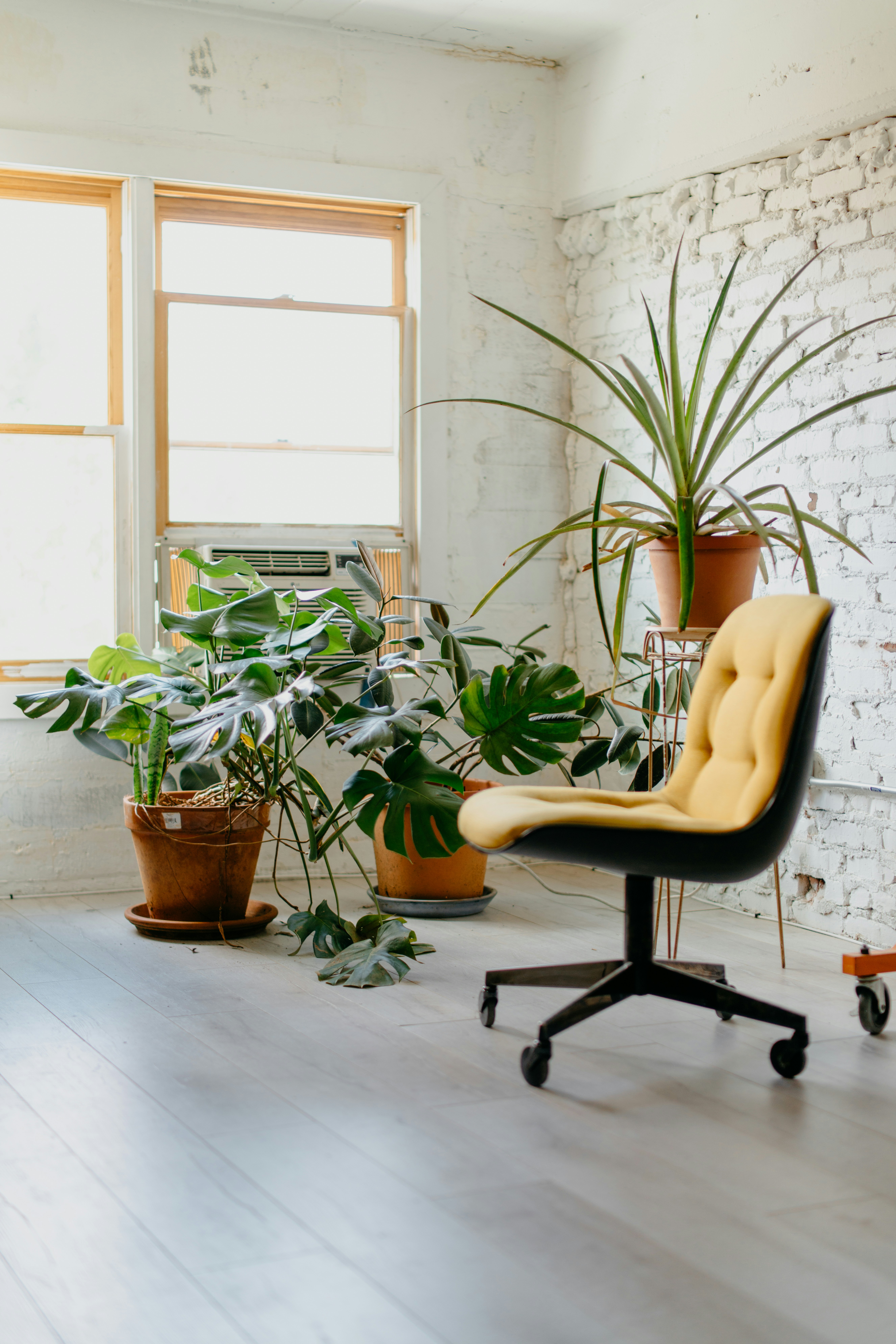 yellow rolling chair next to plants. business coach for therapists in frisco, texas to increase rates. best trauma therapist in frisco, texas.